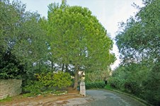Property 21256 photo 60