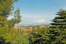 Property 21256 photo 62