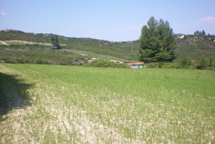 Realty photo 3
