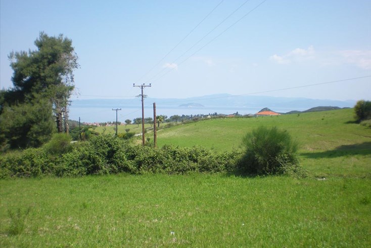 Realty photo 1