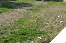 Property 21263 photo 4