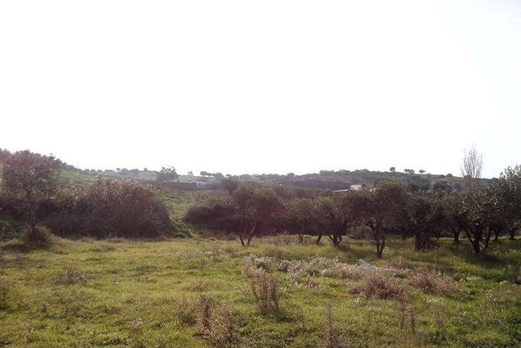 Realty photo 1