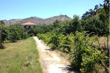 Property 21298 photo 4