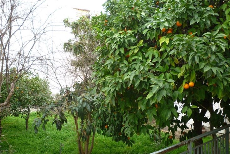 Realty photo 3