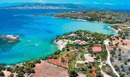 հողատարածք 8000 m² Արեւելյան Peloponnese