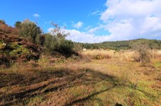Property 21340 photo 4