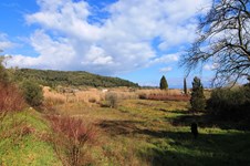 Property 21340 photo 1