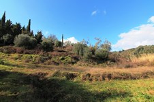 Property 21340 photo 2