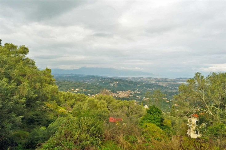 Realty photo 1