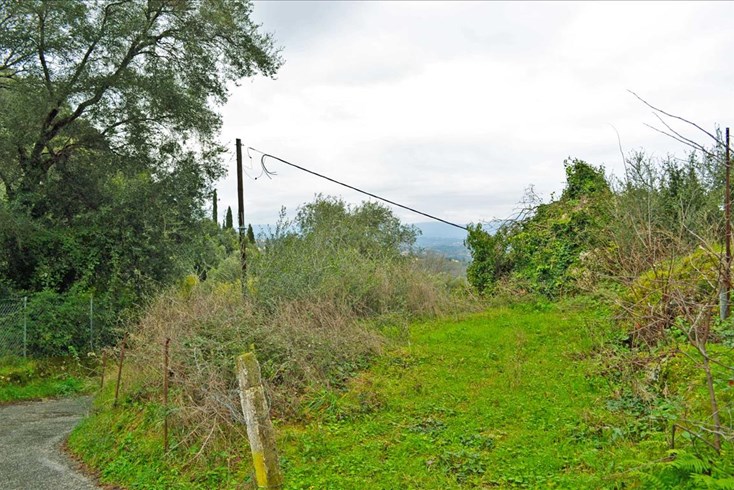 Realty photo 2