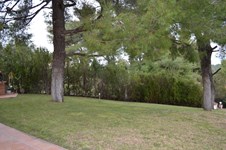 Property 21389 photo 5