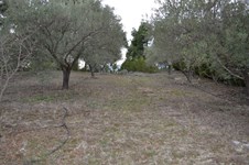 Property 21389 photo 9