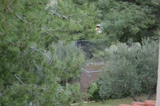 Property 21389 photo 12