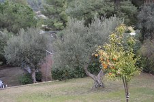 Property 21389 photo 10