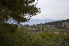 Property 21389 photo 4