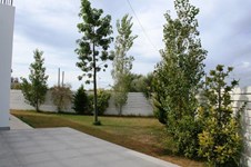 Property 21505 photo 12