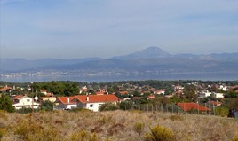 Land 8000 m² in Attica