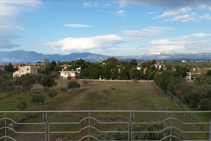 Realty photo 2