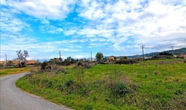 Land 2000 m² in Corfu