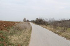 Property 21594 photo 1