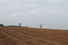 Property 21594 photo 4