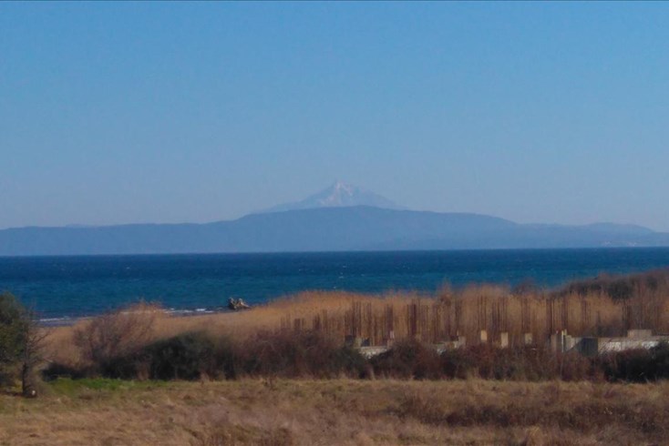 Realty photo 1