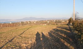 სასტუმრო 14400 m² სალონიკის გარეუბანში