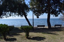 Property 21631 photo 24