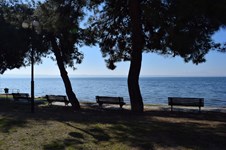 Property 21631 photo 26