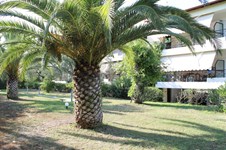 Property 2168 photo 7