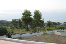Property 2170 photo 18