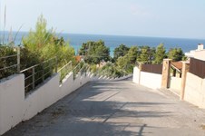 Property 2170 photo 5