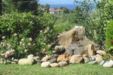 Property 21710 photo 2