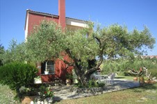 Property 21710 photo 15
