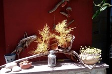 Property 21710 photo 19