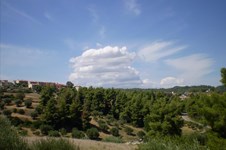 Property 21710 photo 21