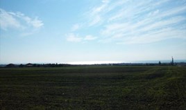 Парцел 10000 m² в Халкидики