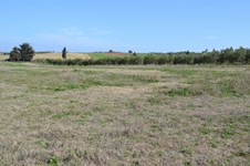 Property 21723 photo 1