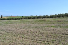 Property 21723 photo 4