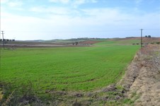 Property 21726 photo 1