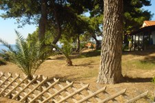 Property 2174 photo 14