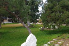 Property 21798 photo 31
