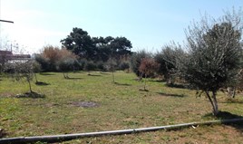 Land 2768 m² in Athen