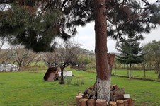 Property 21821 photo 5