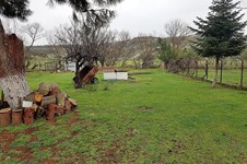 Property 21821 photo 8