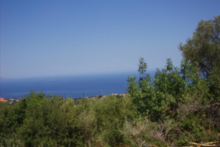 Realty photo 1