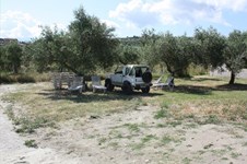 Property 2183 photo 3