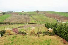 Property 21844 photo 68
