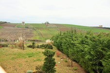 Property 21844 photo 67