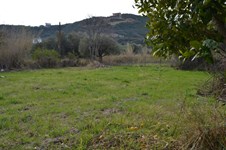 Property 21845 photo 4